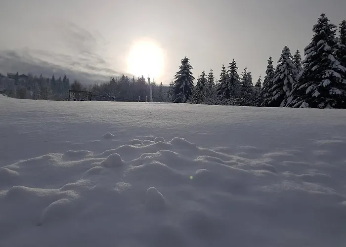Agroturystyka Koronkowe Zacisze