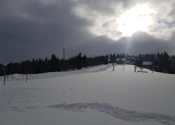 Agroturystyka Koronkowe Zacisze